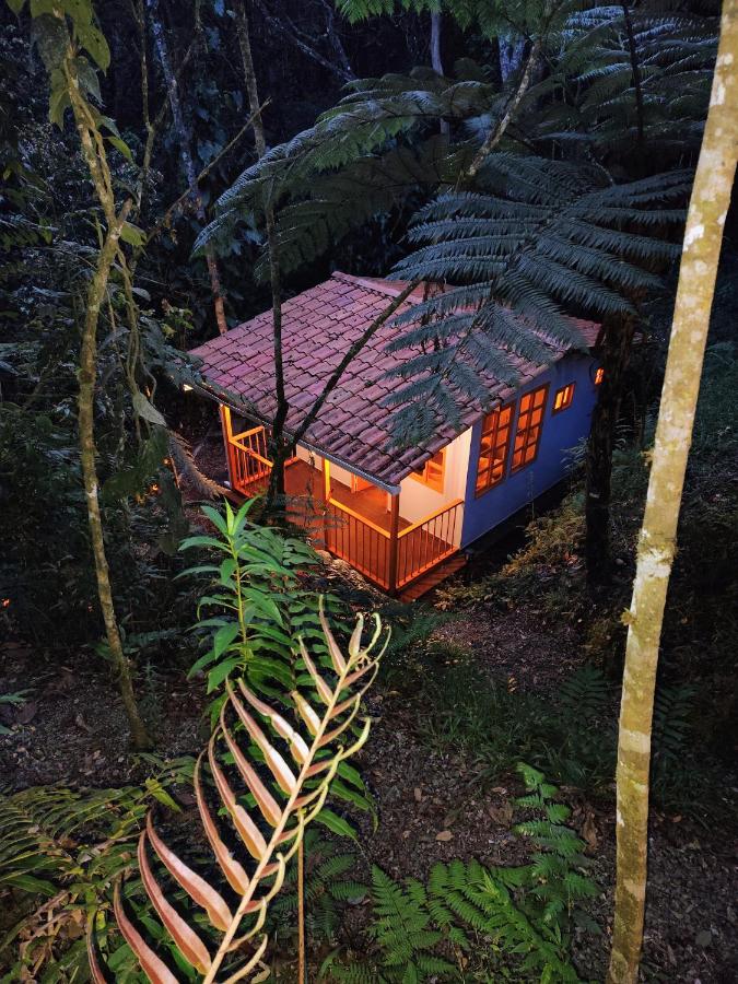 Herencia Colonial Glamping - Bed and Breakfast Santa Helena