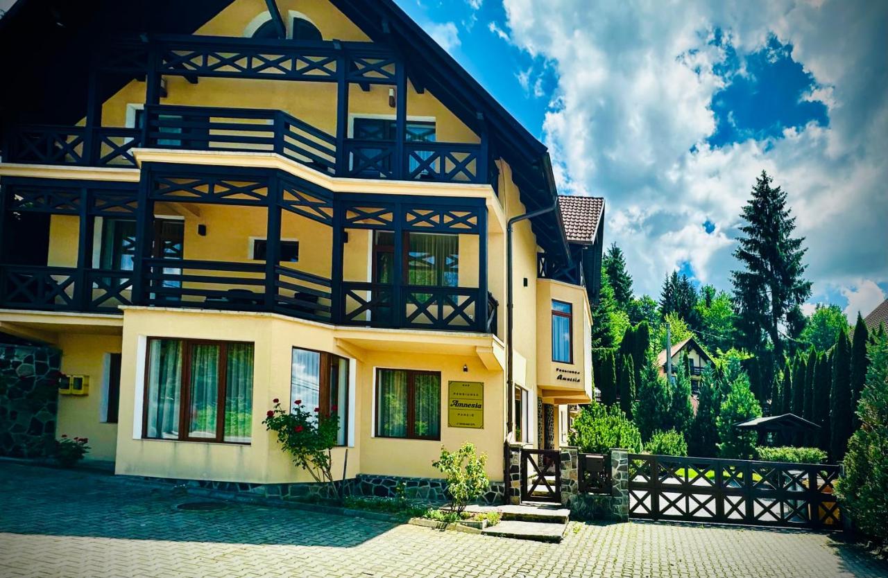 Pensiunea Amnesia - Bed and Breakfast Sovata