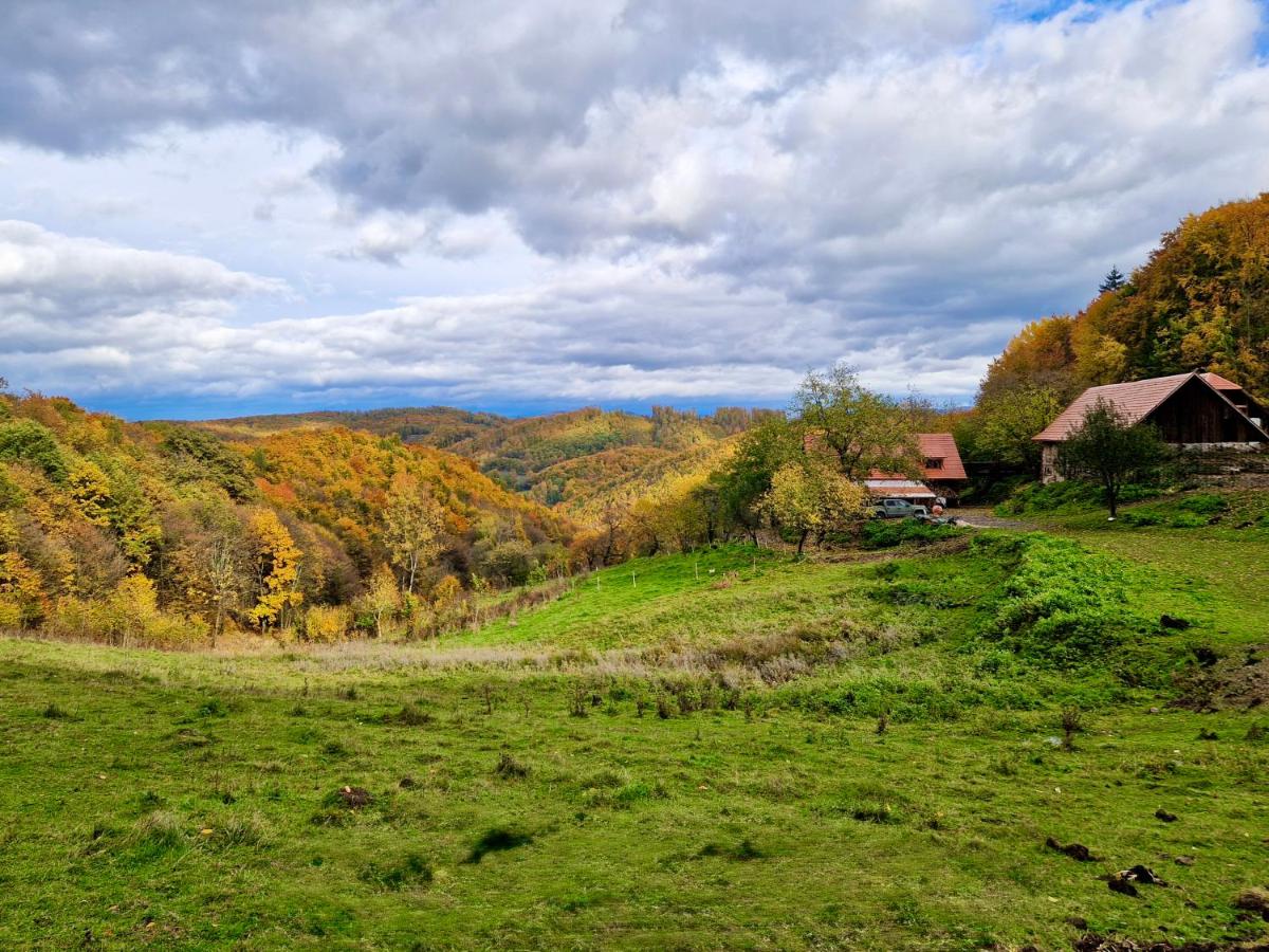 Off-grid Eco Farm Dolinka - B&B Kozelník