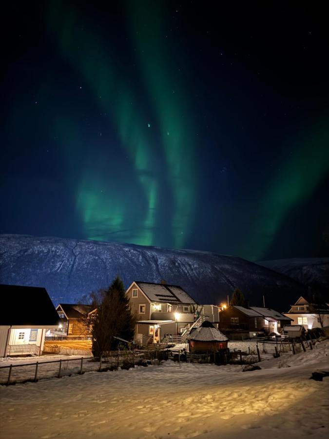 Northern lights Entire Apartment - B&B Tromsø