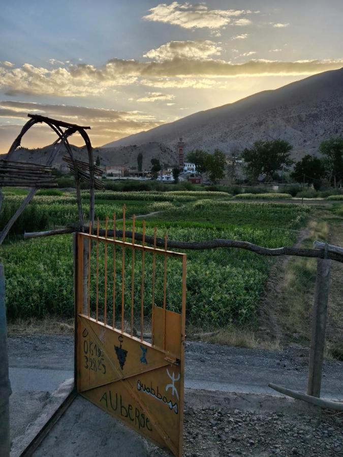 Auberge Ouabas - B&B Agoudim