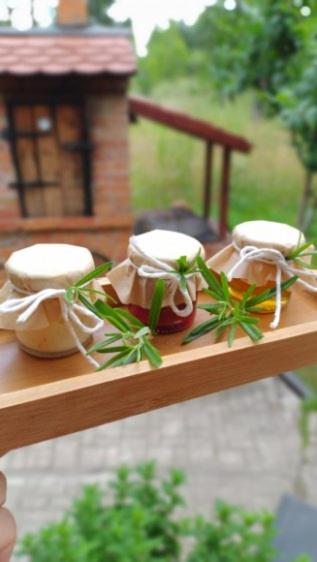 Łasko - Wildlife Phototherapy - 4 luksusowe, klimatyzowane wille, z dostępem do oddalonego o 5 min spacerem prywatnego terenu rekreacyjnego - Bed and Breakfast Bierzwnik