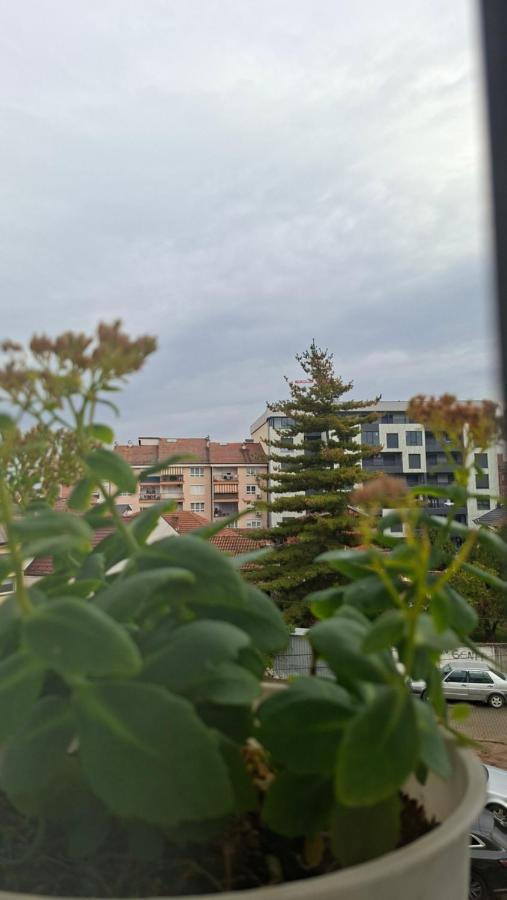 Grand Albi Apartament - B&B Gjakova