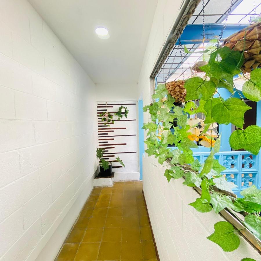 Mixed Dormitory Room