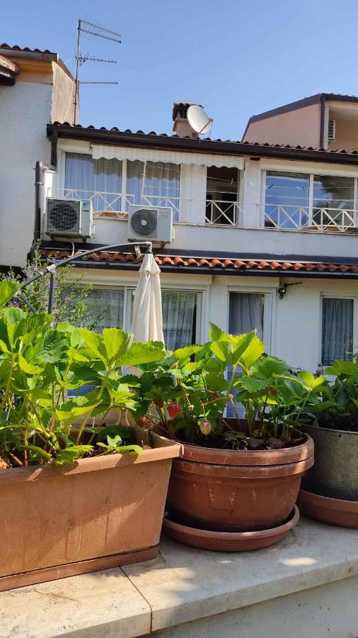 Apartments in Porec - Istrien 33353 - B&B Parenzo