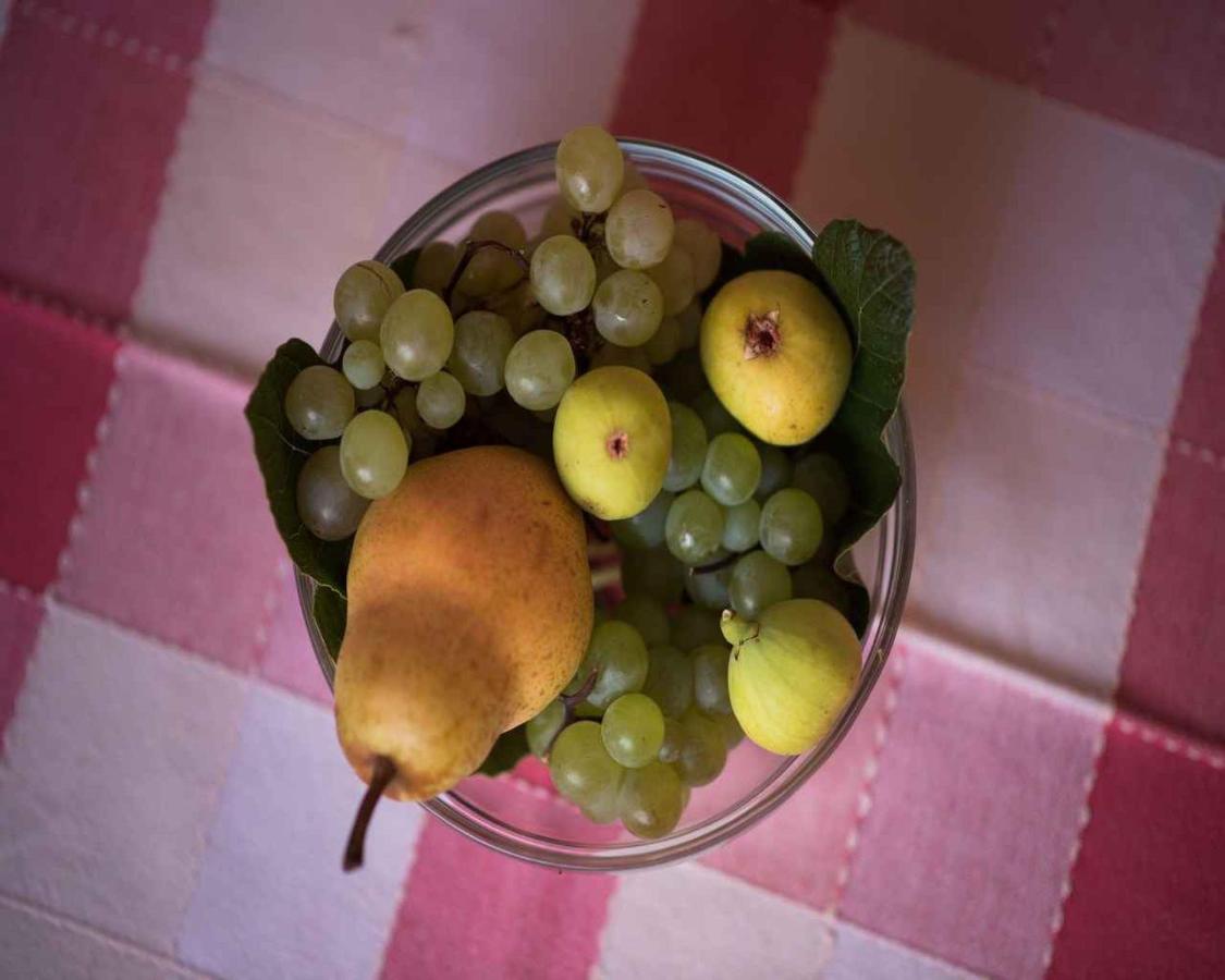 Apartments in Vrbnik - Insel Krk 13597 - B&B Vrbnik