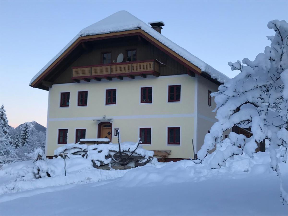 Lammerergut - Ferienwohnung Abtenau