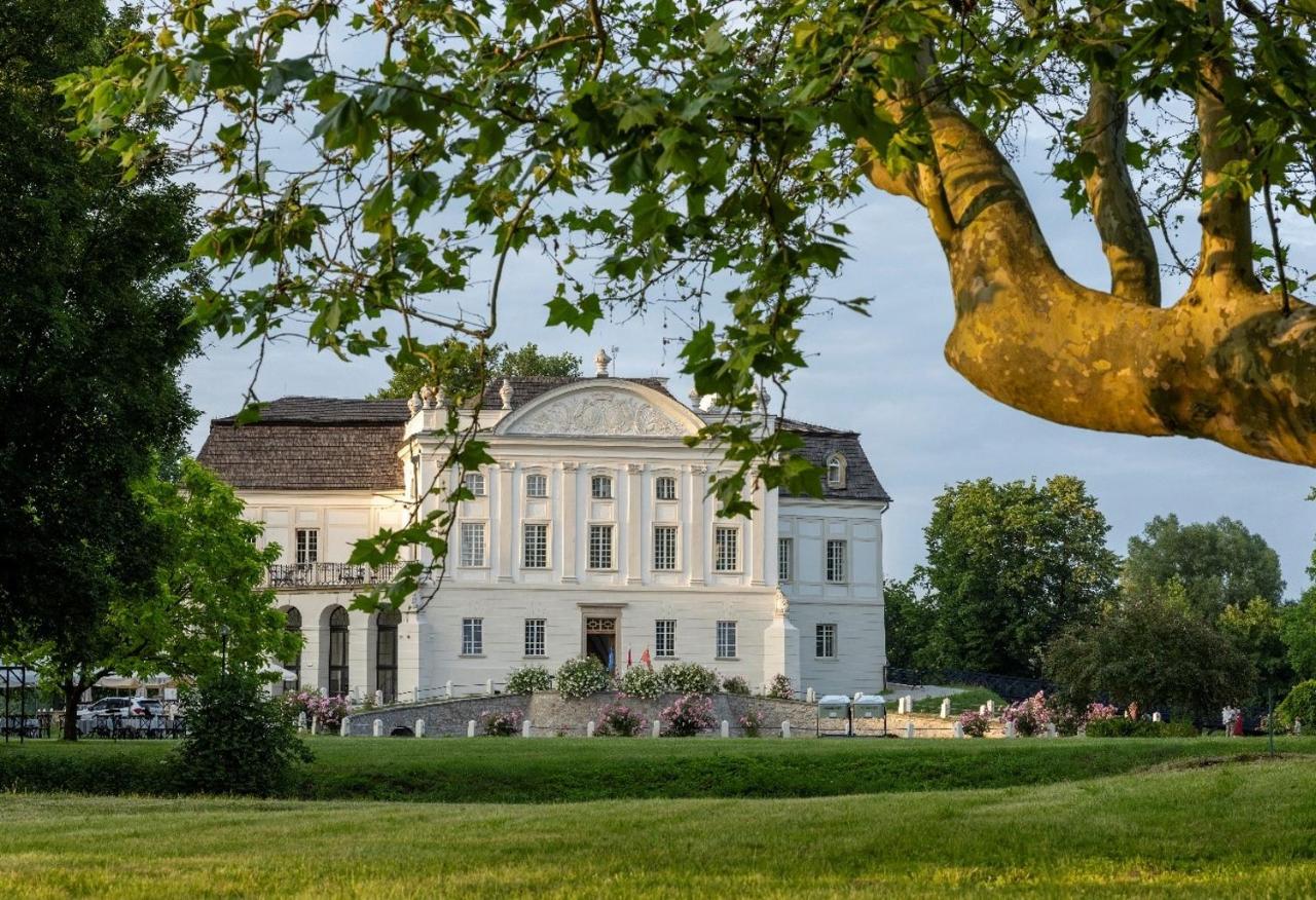 Pałac Popielów w Kurozwękach, Pokój w Pałacu - Kurozwęcki - B&B Kurozwęki