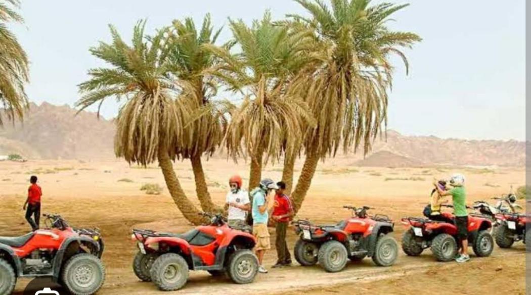 Tibs mountain view - B&B Al Aqālitah