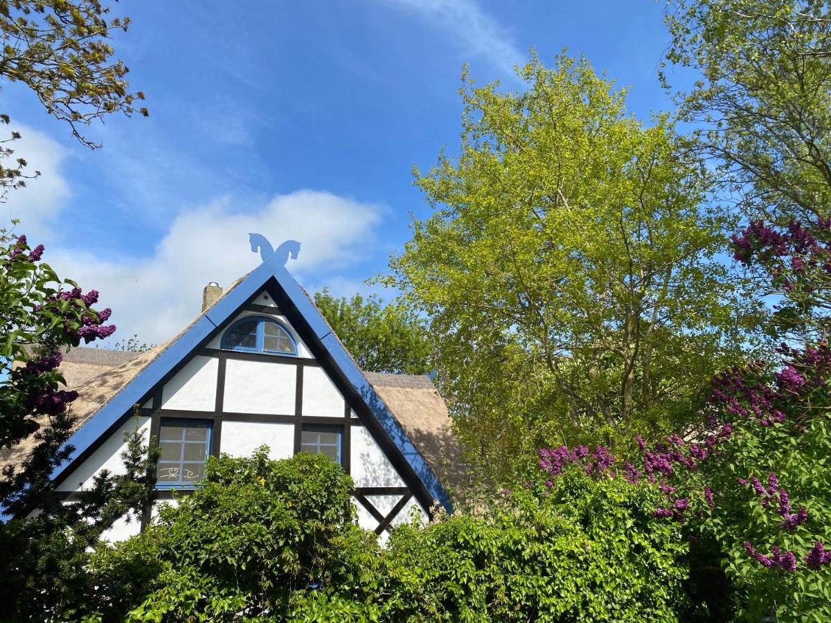 Landhaus 2 Stettinerhaff - Ferienwohnung Dargen