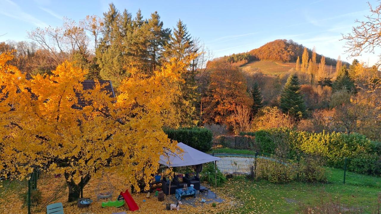 Studio 3 lits dans belle maison ancienne et jardin fermé - B&B L'Étoile