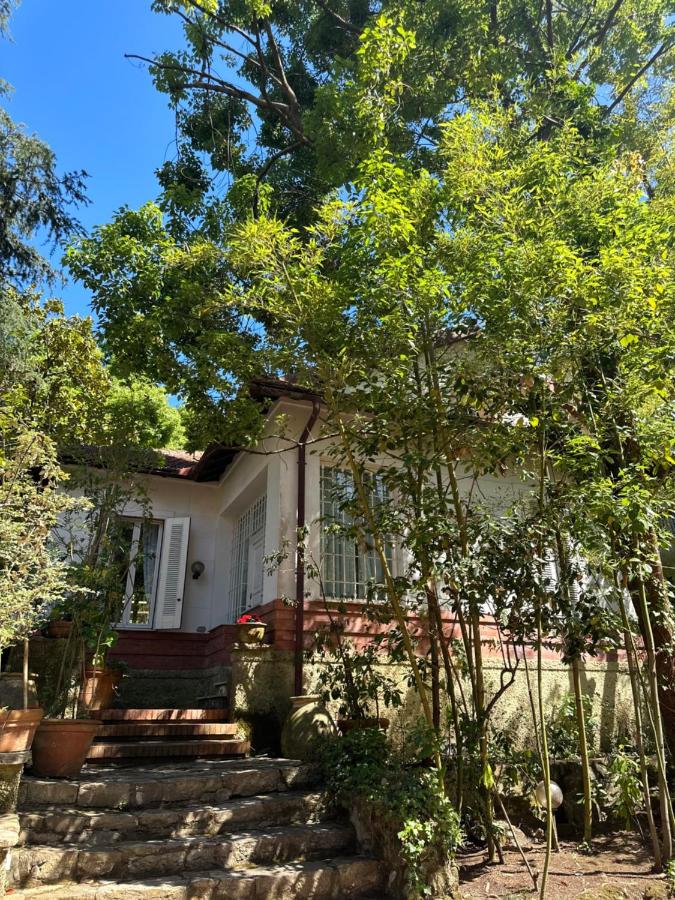 Villa Margherita - B&B Santa Margherita Ligure