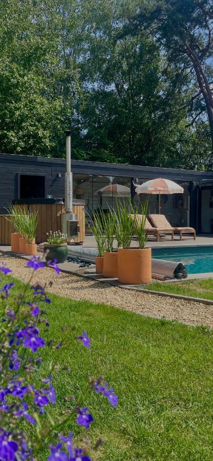 Chambre d Amis - B&B Lokeren