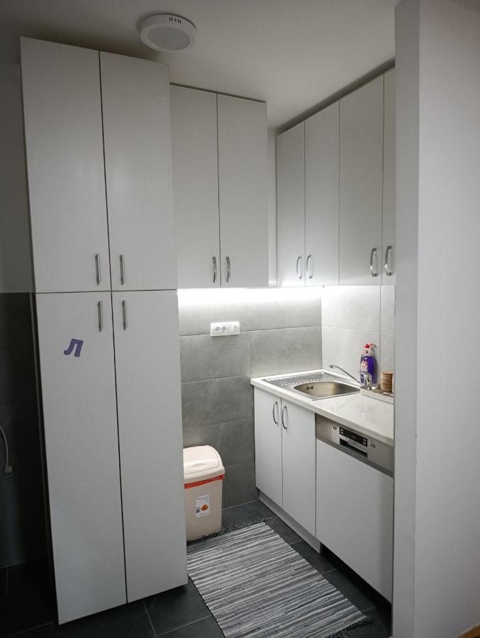 Gray - B&B Valjevo
