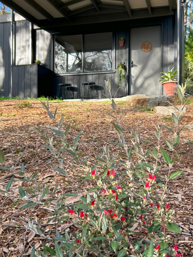 KW Treehouse - B&B Upper Sturt