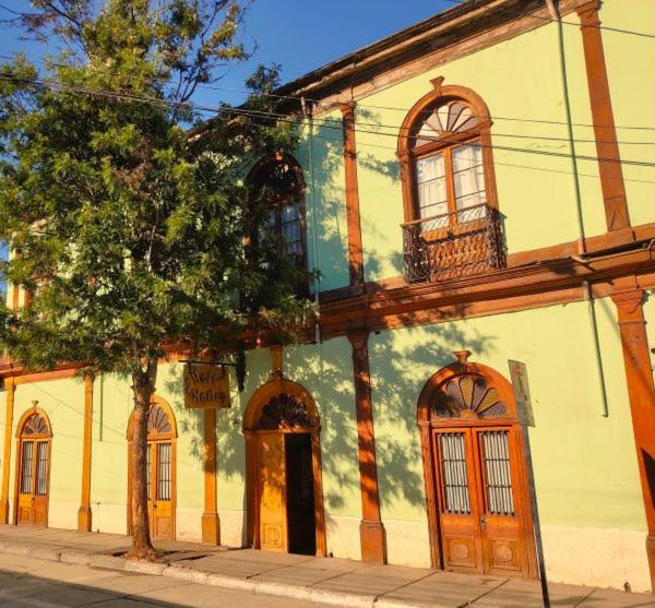 Hotel Halley & Vicuña, Valle de Elqui - B&B Vicuña