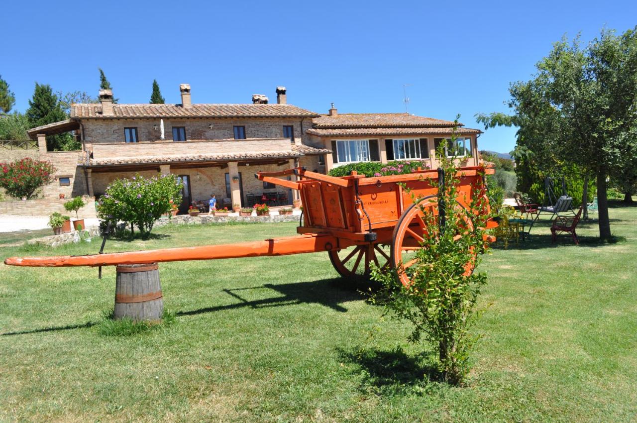 Farm stay Il Carro del Colle - B&B