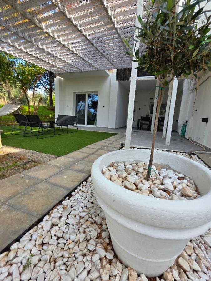 Black N' White Cozy Housegarden - B&B Alessandropoli