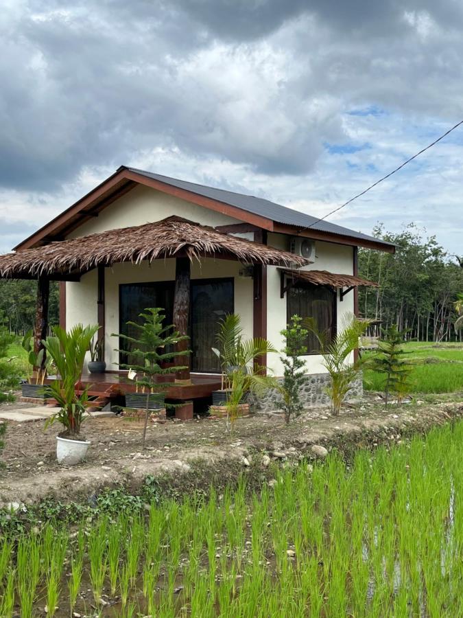Shazzam place tour and jungle trekking - Ferienwohnung Bukit Lewang