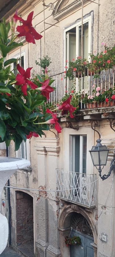 Le Nouveau Grand Tour - Dimora del Commendatore - B&B San Giorgio Morgeto