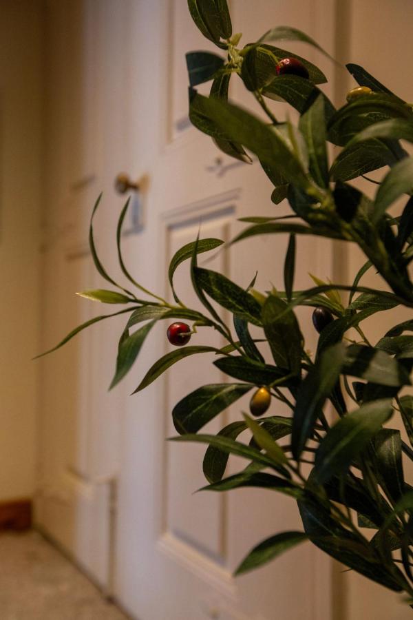 Casa dos Livros - Guest House - B&B Vila Nova de Tazem