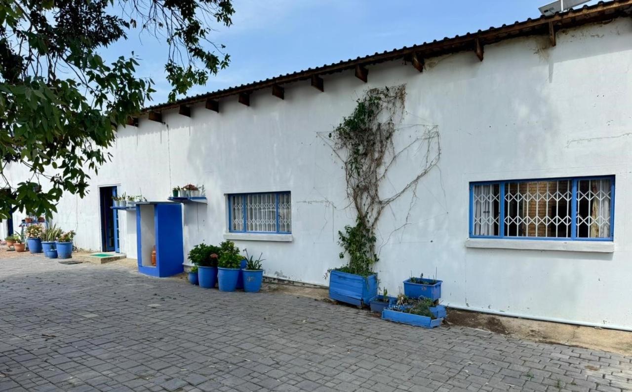 Eclectic Old-Fashioned Comfort - B&B Chartwell