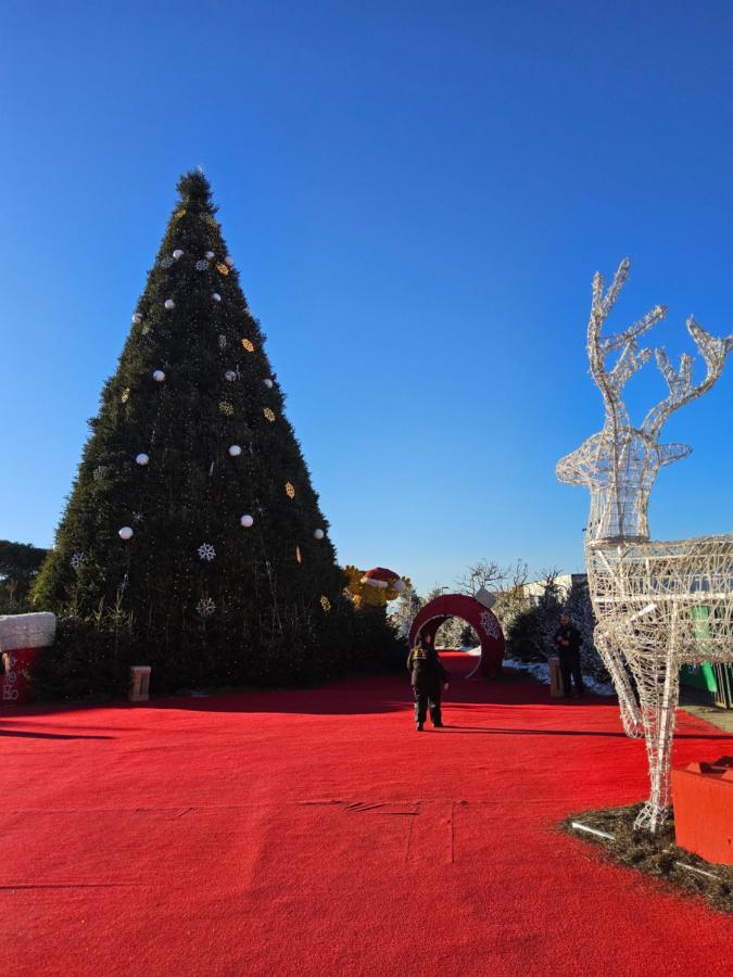 Pétanque at 52 air conditioning - B&B Le Barcarès