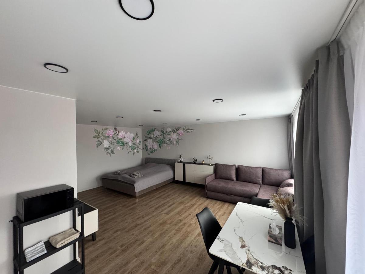 JK apartment - Bed and Breakfast Rēzekne