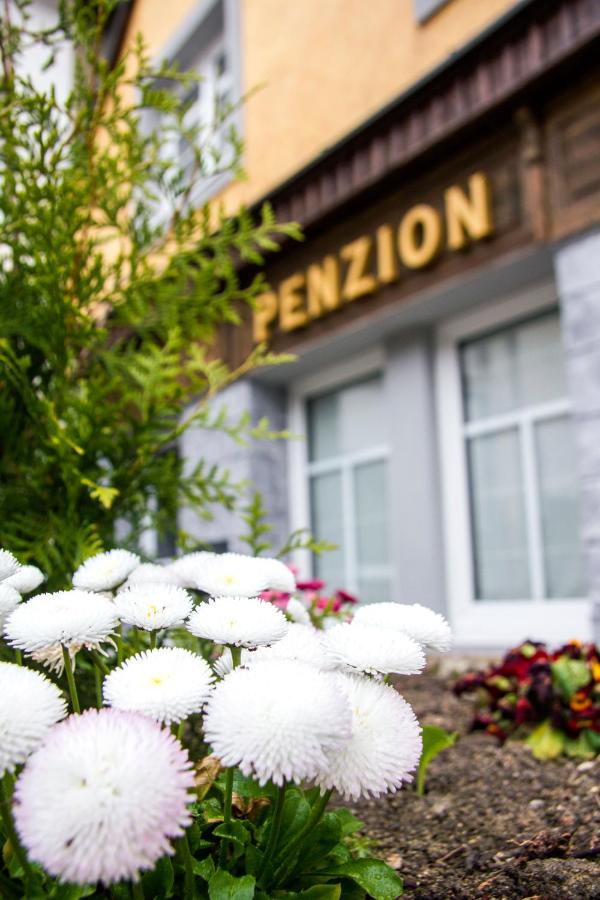Penzion 43 - B&B