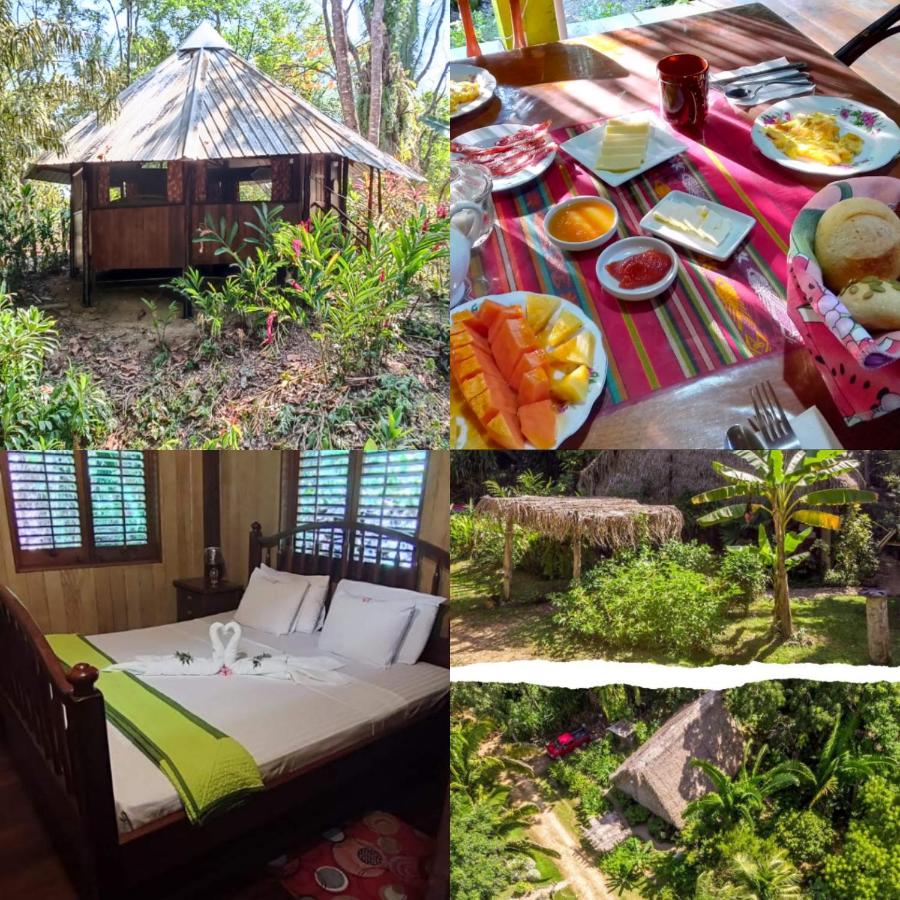 Sun Creek Lodge - B&B Punta Gorda