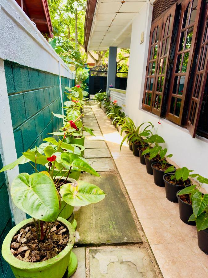 The Travellers Rest - B&B Katunayaka