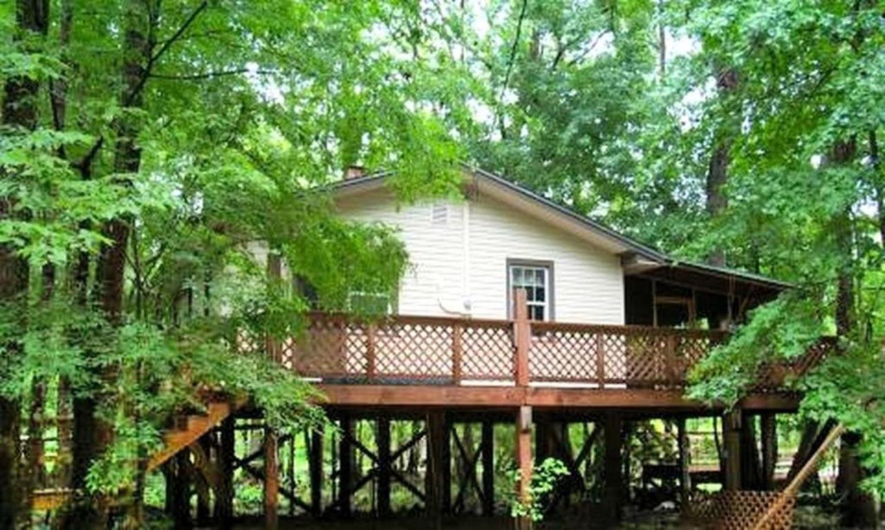Peaceful Pet-Friendly Cabin Rental on St. Marks River near Tallahassee, Florida - Ferienwohnung Crawfordville