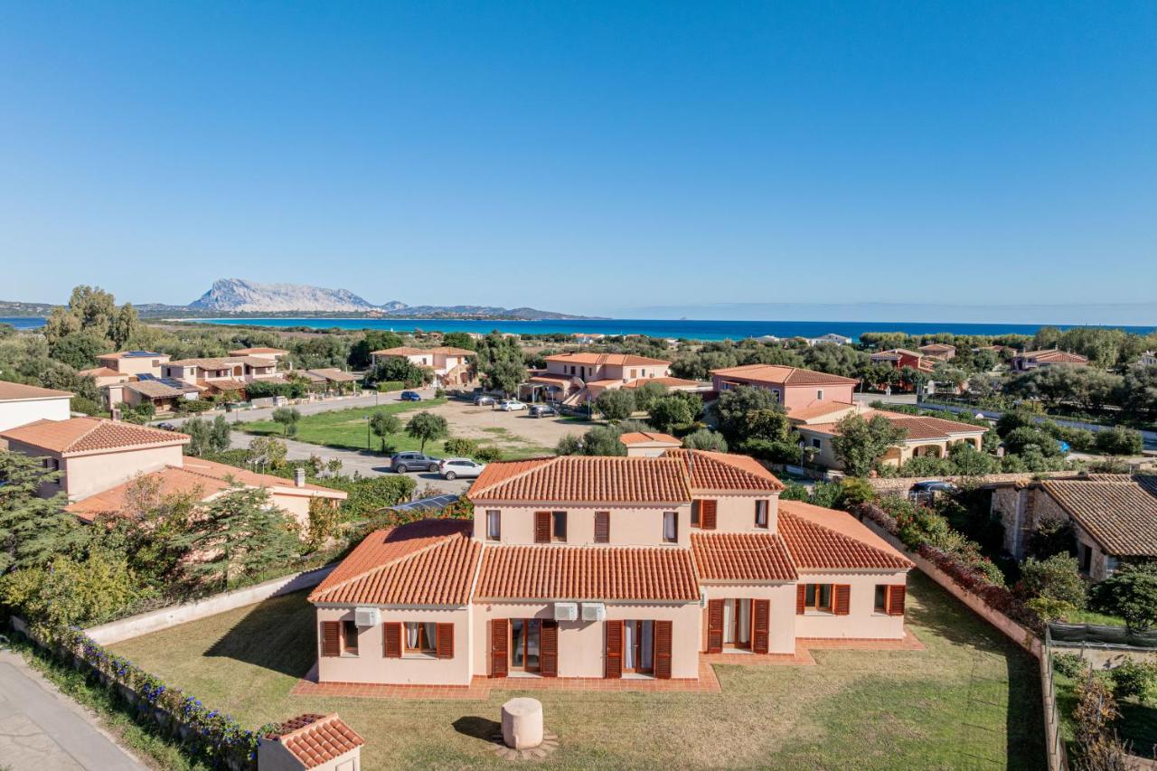 Residenza La Cinta 2 - Ferienwohnung San Teodoro