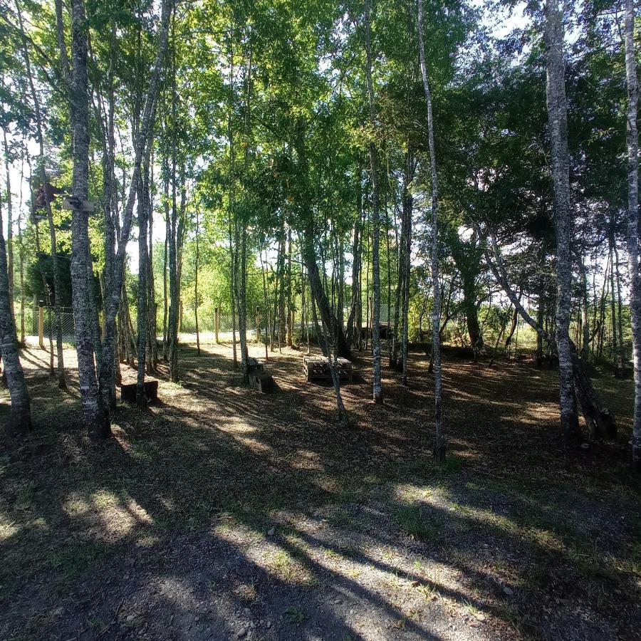 Cabaña el Encanto - B&B Villarrica