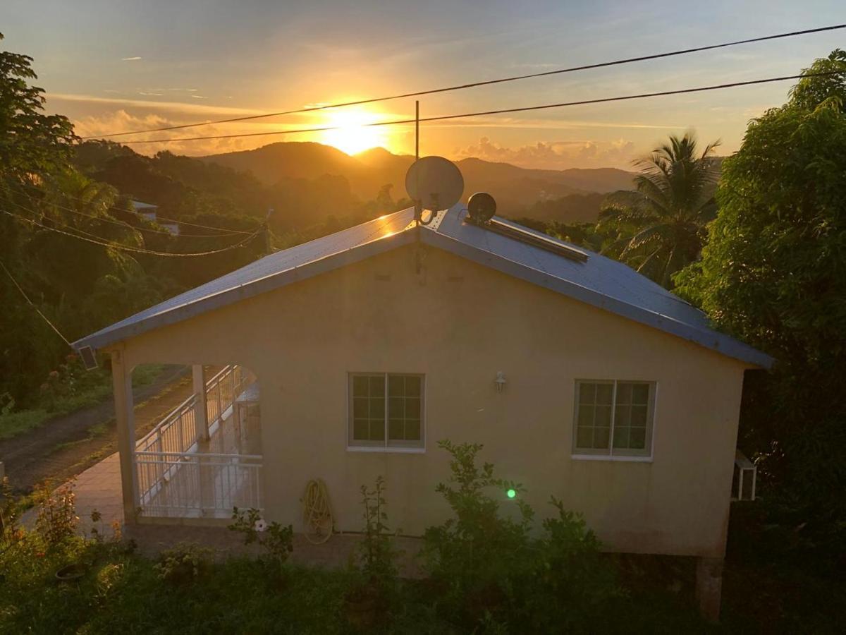 KayMèlCo - Maison conviviale au cœur de la campagne martiniquaise - B&B Rivière-Pilote