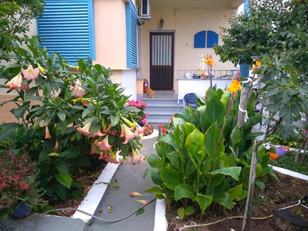 4 Seasons Suites Paradise Athens Airport 2 - B&B Markopoulo Mesogaias