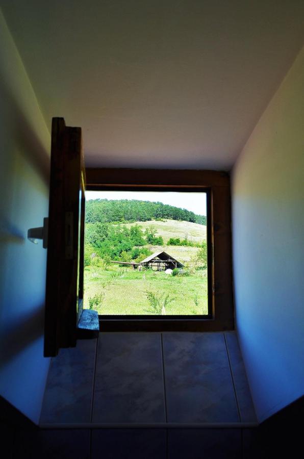 Vila Ţara Haţegului - Ferienwohnung Haţeg