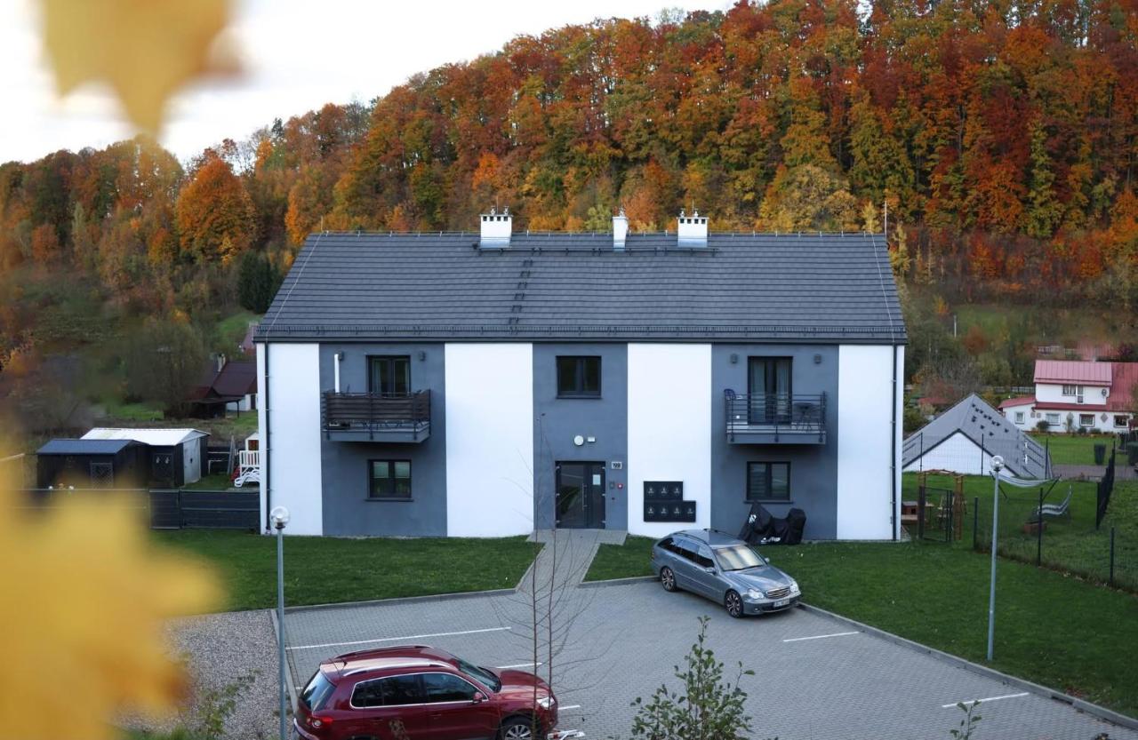 Apartment Roku 2024 - JELEŃ & NATURA - B&B Kudowa-Zdrój