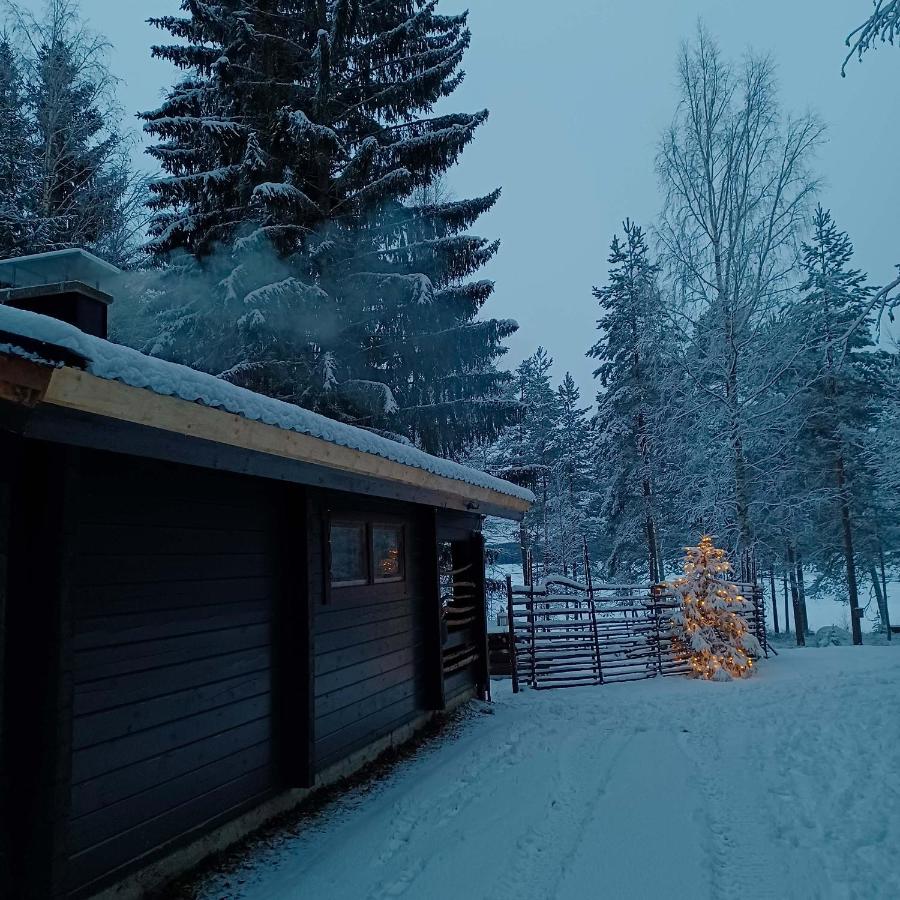 Cottage with Sauna (Harmaa Hukka)