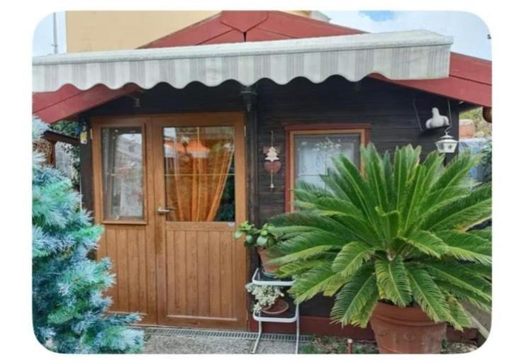 Lo Chalet di Loredana - B&B Pisa