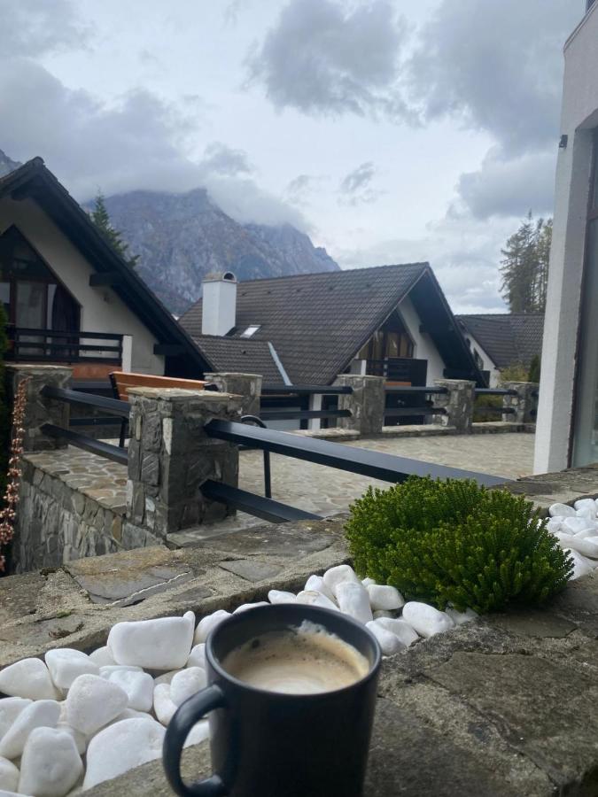Zafra Chalet - Ferienwohnung Țibăneștii Buhlii