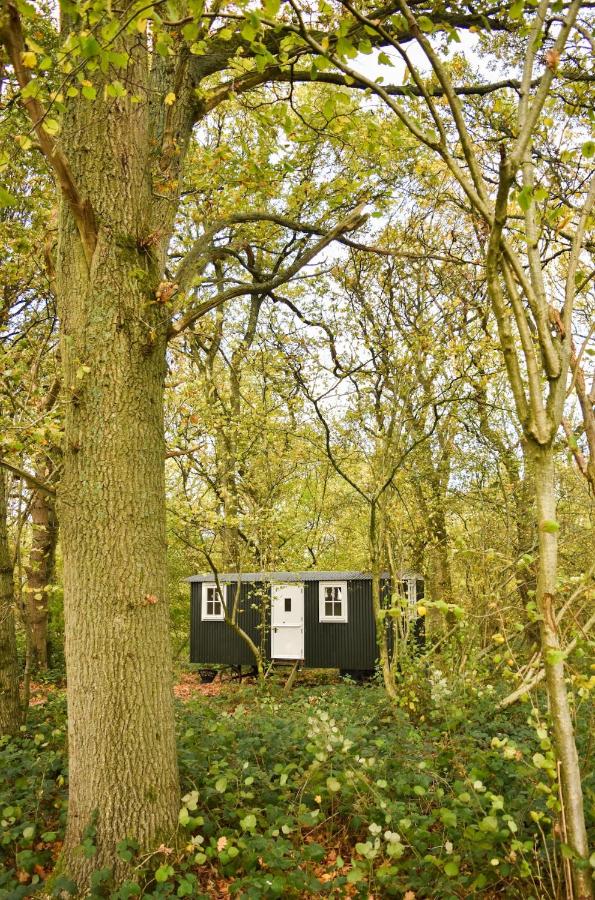 Shepherd Hut in the woods - Ferienwohnung Clothall