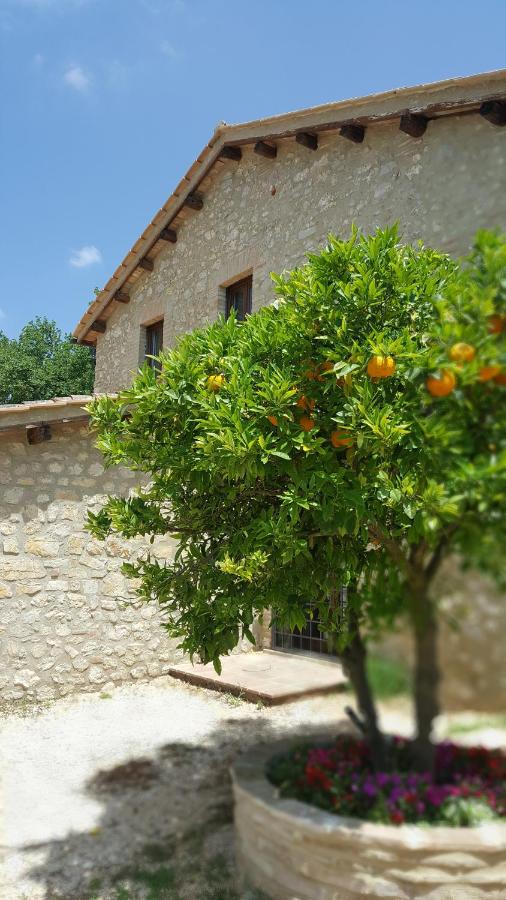 Il Merangolo - Chambres d’hôtes