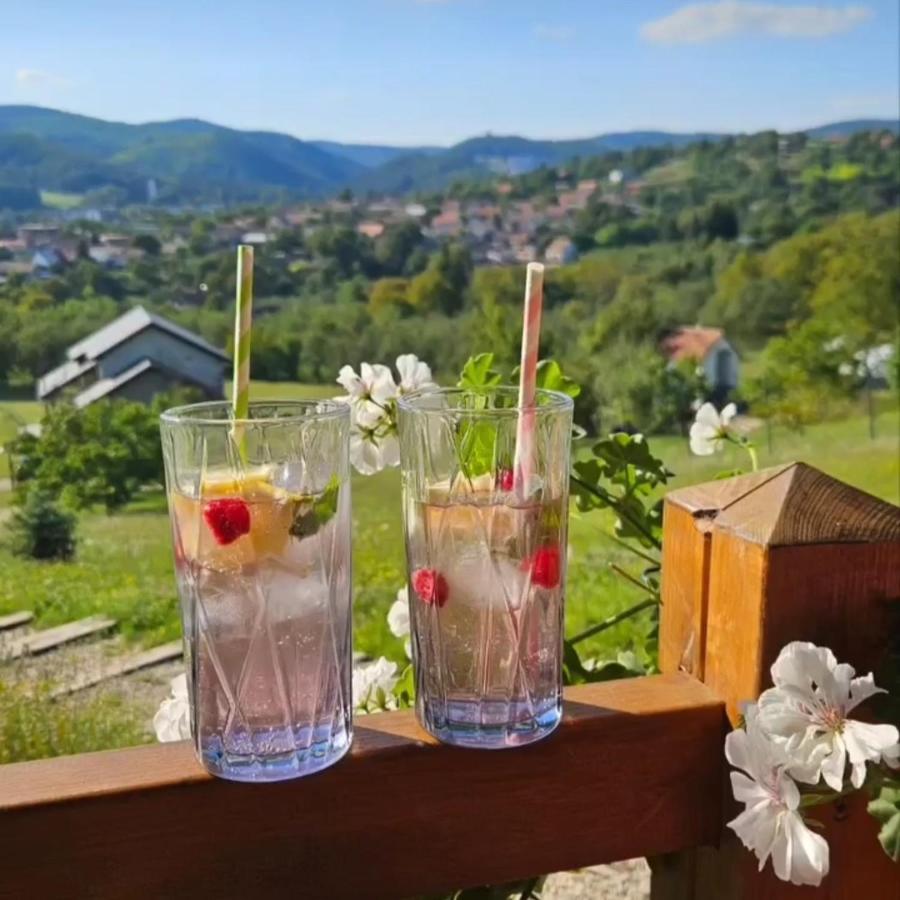 Brvnara Vrdnik - Chambres d’hôtes Vrdnik