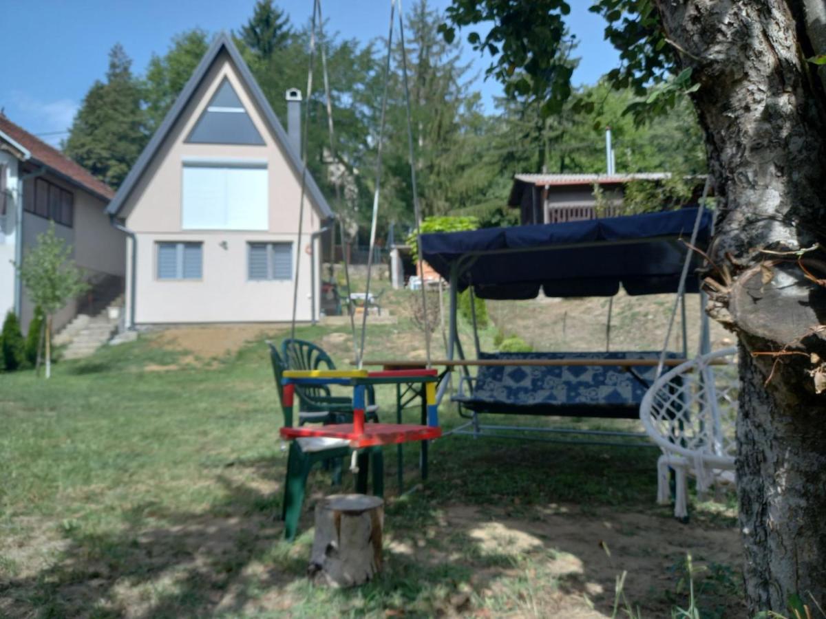 Vila SVITAC Banja Vrujci - B&B Mionica