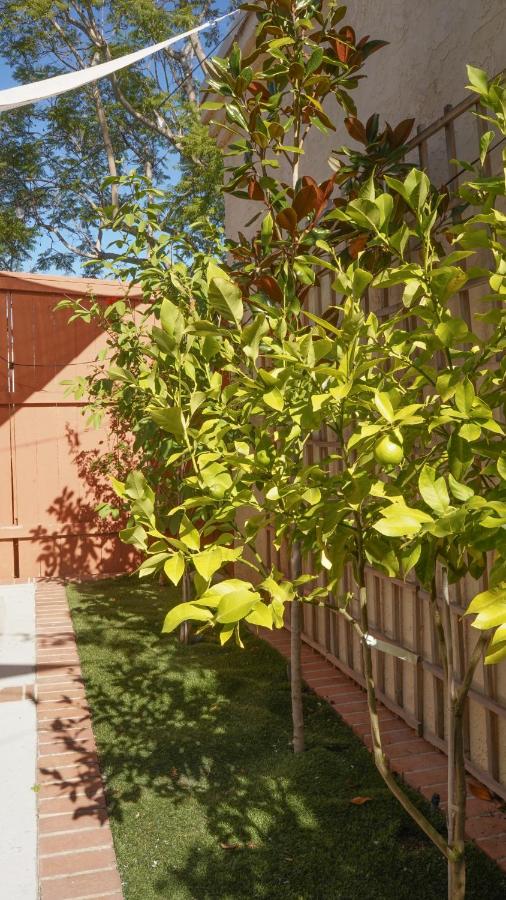 Modern European Townhouse - B&B Vista