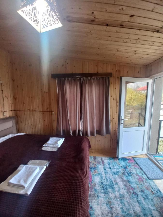 Sesili's apartment - Ferienwohnung Stepantsminda