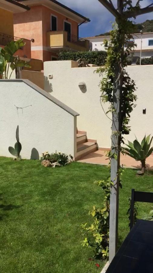 palm house - B&B Santa Teresa Gallura