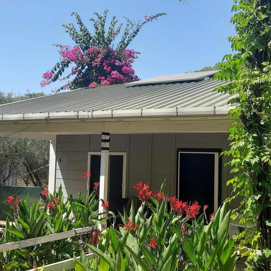 Gelidonia Fenerium Holiday Home - B&B Adalia