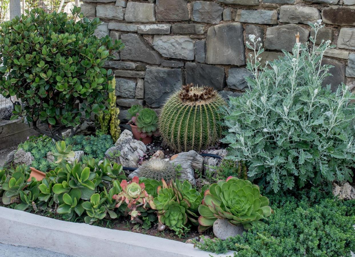 Oikia Eleanthi - Beachfront Garden Home! - B&B Mytikas